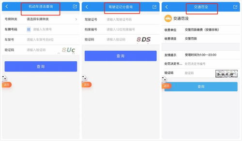 合肥哪个自助平台可以查询违章信息？