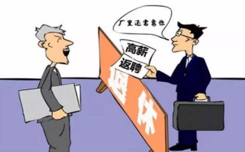 交警在业余时间可以从事哪些合法副业？