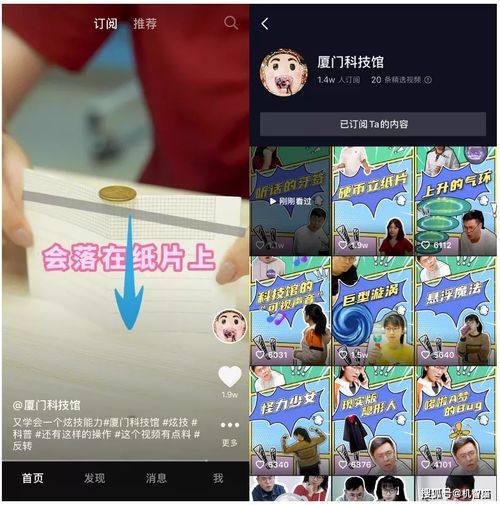 14岁少年如何寻找合适的兼职赚取零花钱？