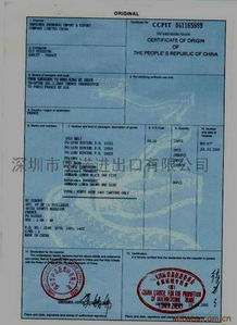 外贸单证从业者可尝试哪些副业提升收入？
