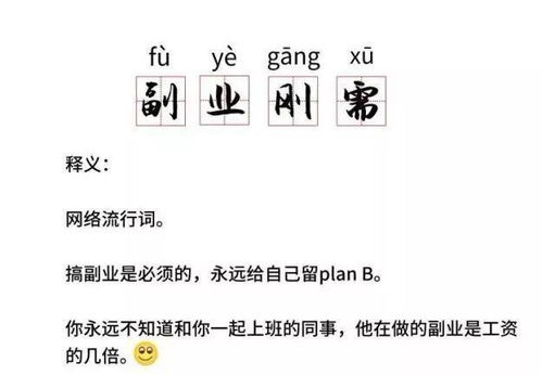 除了主业之外，你还在哪些副业领域有所涉猎？