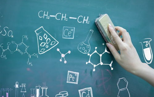 高中阶段如何选科才能为未来成为法官奠定基础？