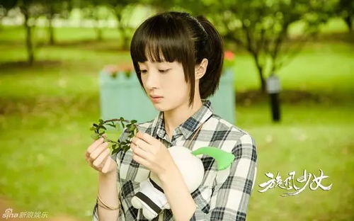 金一山究竟道出何真相？旋风少女背后的故事引人猜想