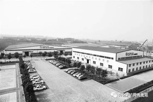 介休投资办厂，哪种类型最能带来丰厚回报？