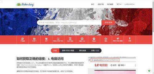 农村卖菜如何高效盈利？实用方法视频解析