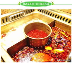 哪些平台是网购火锅自助的首选？探索最佳火锅食材自助购买网站