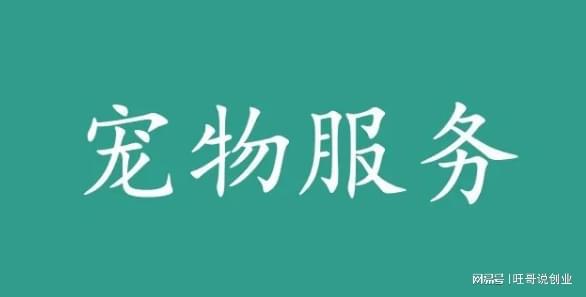 如何在“幸福里”实现财富增长？赚钱秘诀大公开！