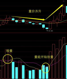 A股市场如何选股才能实现盈利？