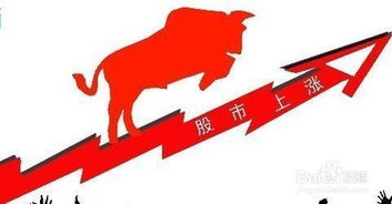 2024年最具潜力的股票是哪只？投资者如何把握赚钱机会？
