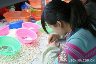 柳州市有哪些地方能找到居家制作的手工活？在家做手工的理想选择在哪里？