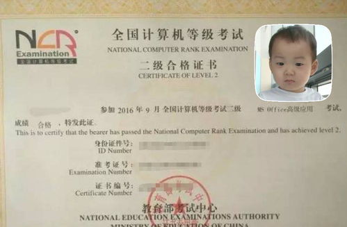 二级证书兼职费用是多少？市场行情大揭秘！