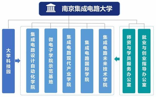 大学校园里哪些项目最具盈利潜力？