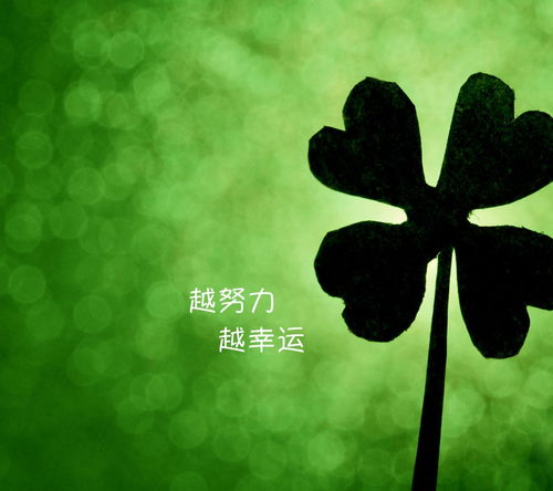 如何通过努力赚取财富的励志图片，你见过吗？