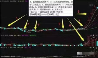 洗盘子真的能赚钱吗？揭秘背后的收入真相