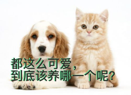 乡下养殖哪种宠物最赚钱？你真的知道吗？
