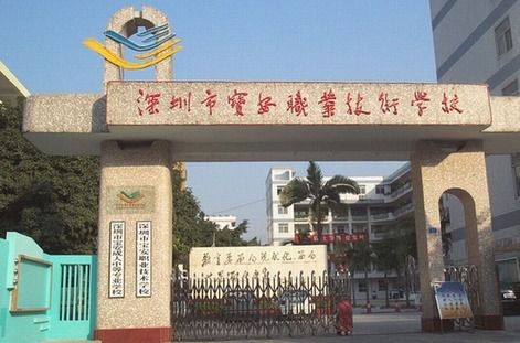 深圳梧桐学校口碑如何？教学质量与校园环境是否令人满意？