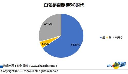 白领纷纷转型网约车司机，是何原因导致司机数量增长速度超过订单？
