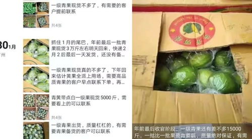 柠檬真的能赚钱吗？揭秘柠檬生意的盈利真相