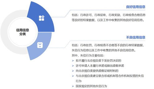 上海澄美公司业务覆盖哪些领域？其信誉如何，郑州分公司现状又是怎样？