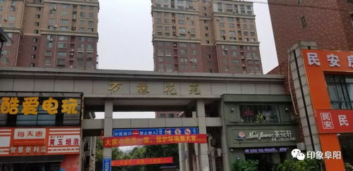 你知道小区里有哪些赚钱的副业机会吗？