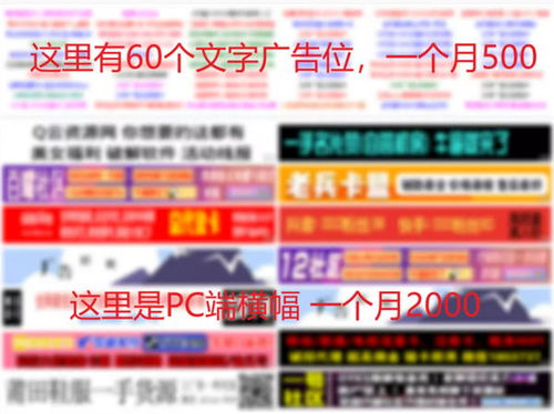 如何利用网络资源实现稳定收入？