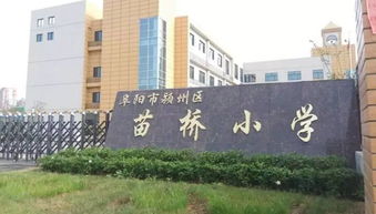 阜阳苗桥小学教学质量如何？是否值得选择？