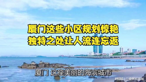 台滋味究竟有何独特之处，让人流连忘返？