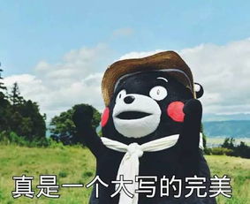 你真的了解这四大靠谱副业吗？它们能否助你实现财务自由？