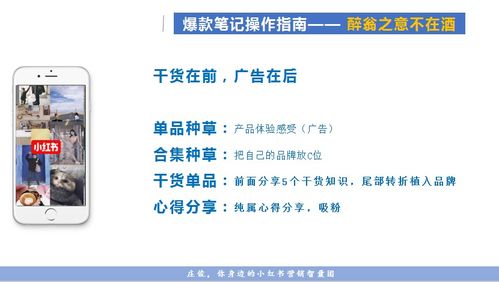 鱼塘营销怎么做？高效策略有哪些？