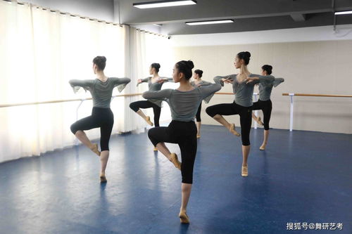 每位舞蹈老师背后都有副业支撑吗？行业现象探讨
