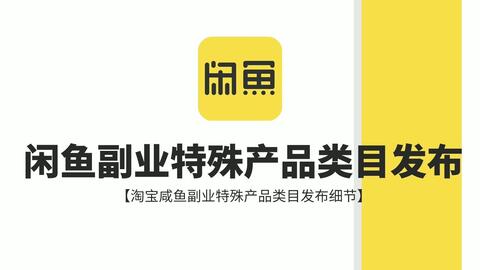 副业达人都有哪些独特技能和成功秘诀？