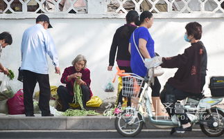 74岁农村妇女如何靠卖菜实现自食其力？