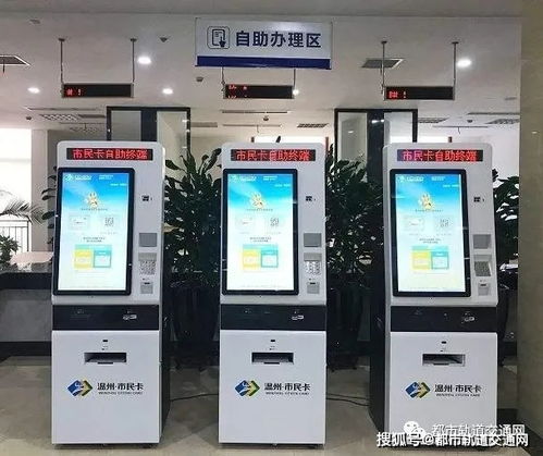 哪些业务种类被包含在自助转账服务中？