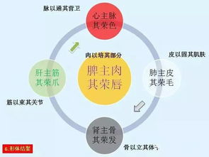 如何高效处理副业污水？独家视频教程详解