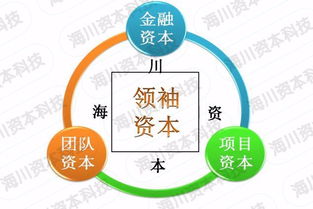 三藏资本如何实现盈利？其独特赚钱模式解析