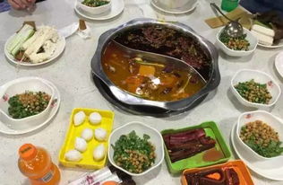 哪些午餐自助团购网站值得推荐？精选高性价比选择，你不可错过！