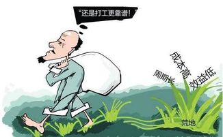 种地真的能赚钱吗？揭秘农业盈利背后的秘密？
