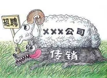 厦大副业背后隐藏着什么？学子们的第二战场究竟如何？