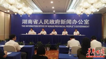 湖南中伟集团实力如何？其综合表现究竟怎样？