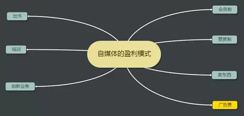 b站是如何实现盈利模式的？它的赚钱途径有哪些？