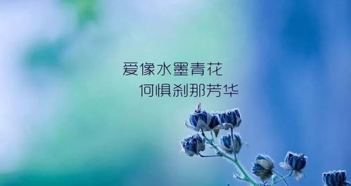 ‘自己去找水’隐喻何意？是否暗指赚钱之道？