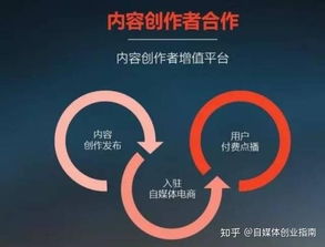 为何会选择踏入自媒体领域寻求财富增长？