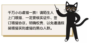 想找轻松副业？喂猫服务真的赚钱吗？靠谱推荐了解一下！
