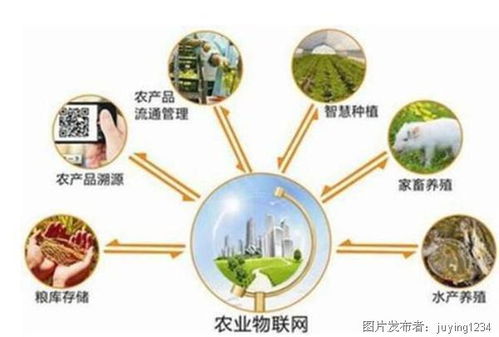 当前农业领域哪些项目最具盈利潜力？