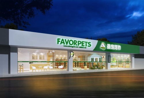宠物用品店经营能否盈利？开店赚钱真相探讨