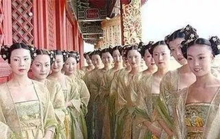 冷宫里也能创业？古代妃嫔如何开辟副业新天地？