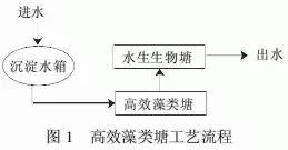 抽污水处理真的能带来经济效益吗？如何评估其盈利潜力？