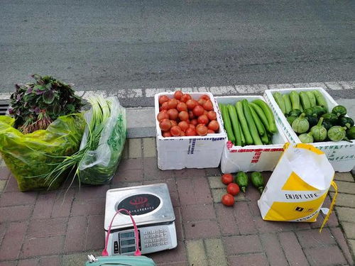 哪些平台在福建提供自助卖菜服务？探索当地热门的自助买菜新方式