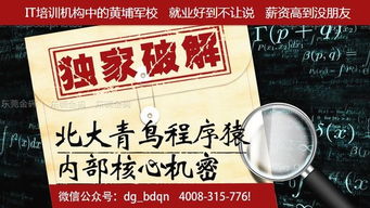 想要做副业，学哪种软件技能最有前景？