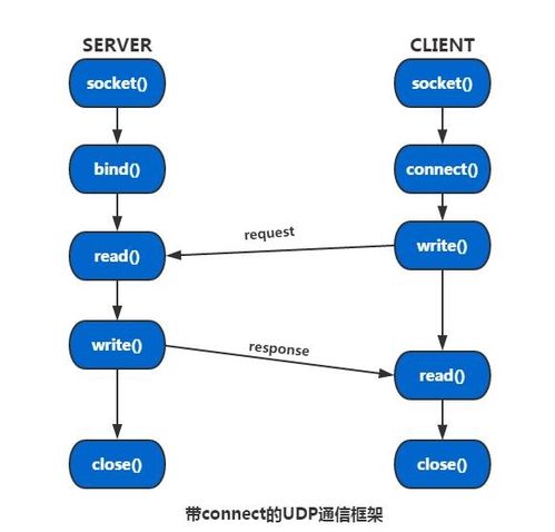 UDP编程真的能赚钱吗？如何利用UDP技术实现盈利？
